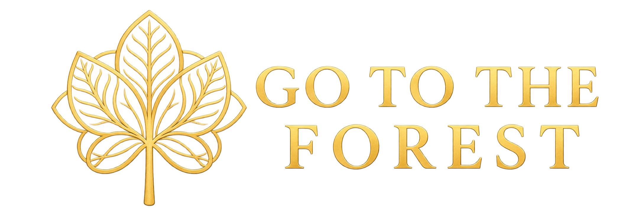 Go To The Forest